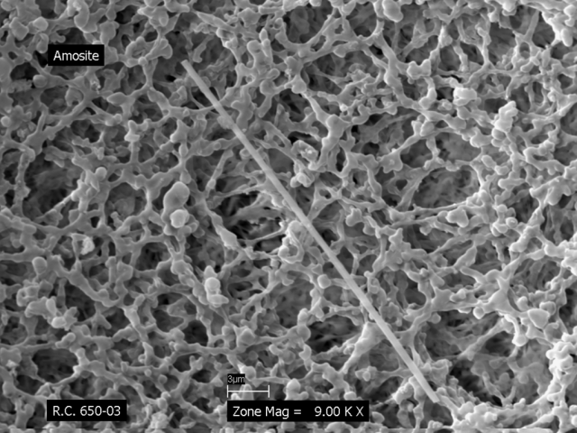 Fibra di Grunerite al microscopio a scansione elettronica