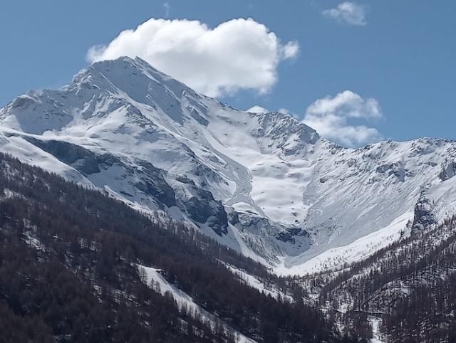 Immagine delle valanghe della Punta Rognosa