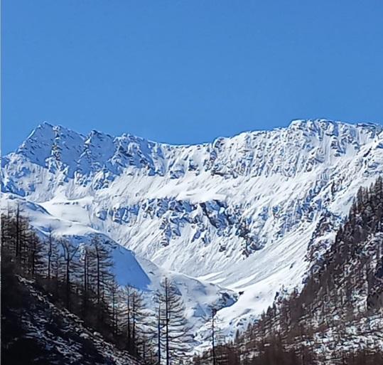 Immagini delle valanghe in alta Val Troncea