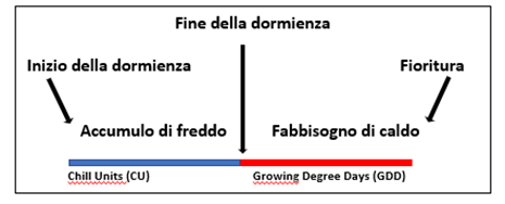 fabbisogno termico delle piante