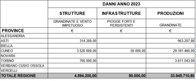 Tabella 1. Riepilogo dei danni 2023