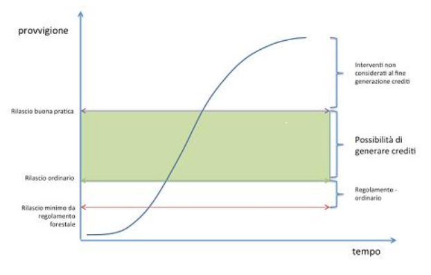 Grafico gestione crediti di carbonio