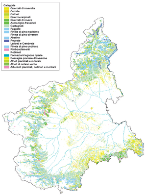 Figura 1. Carta forestale del Piemonte