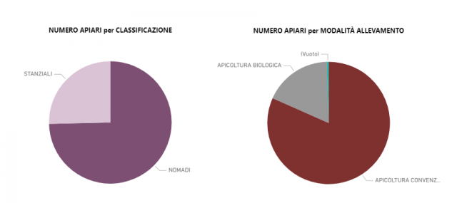 Immagine 1. Grafici che evidenziano il numero di apiari per classificazione (stanziali o nomadi) e per modalità di allevamento (apicoltura biologica o convenzionale)