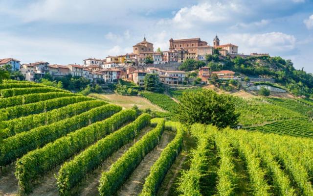 Veduta dell’abitato di Barolo (CN)