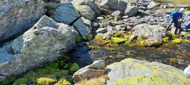 Punto di campionamento della sorgente Granero ubicata un centinaio di m a monte del Lago Lungo, gli strumenti di monitoraggio sono installati una decina di m più a monte, protetti da grossi blocchi di roccia (Bobbio Pellice, agosto 2025).