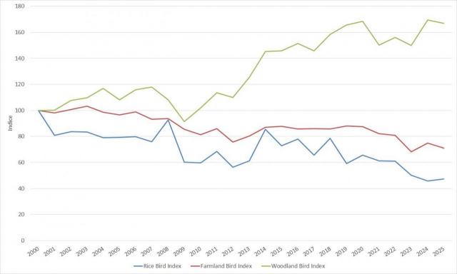 Fig. 1 – Andamento dei 3 indici di monitoraggio dell’avifauna -Farmland, Woodland e Rice Bird Index - inPiemonte, tra 2000 e 2025(posto paria 100 il valore dell’indice nel2000, primo anno di raccolta dati, nell’ambito del Progetto MITO2000). (Fonte dati: IPLA)