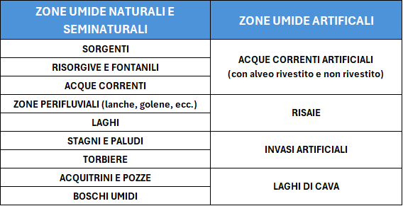 Schema classificazione banca dati zone umide